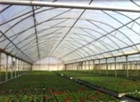 Harsonic in greenhouses