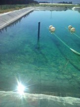 Remove algae in water bassins