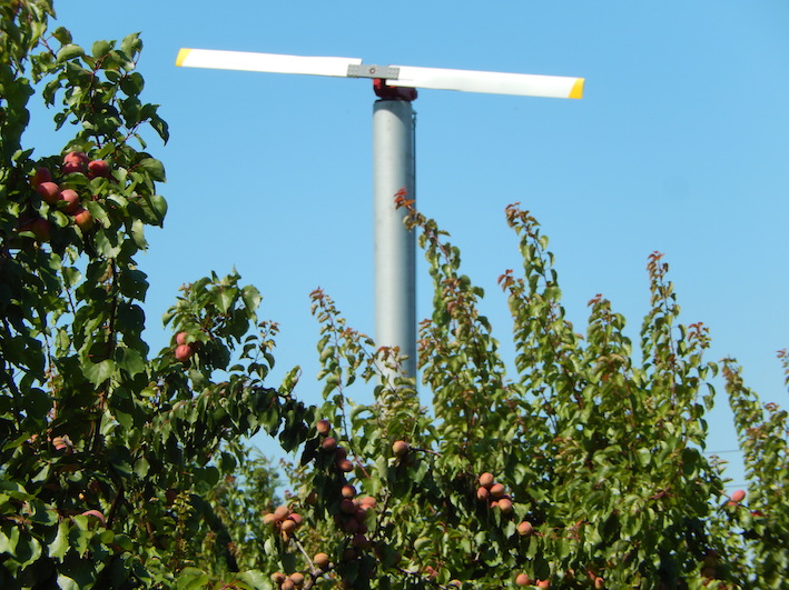 Frost protection wind machine apple